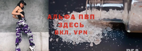 крисы Зеленокумск