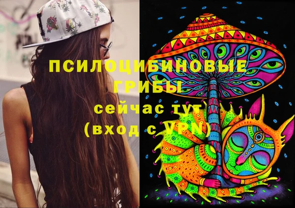 крисы Зеленокумск