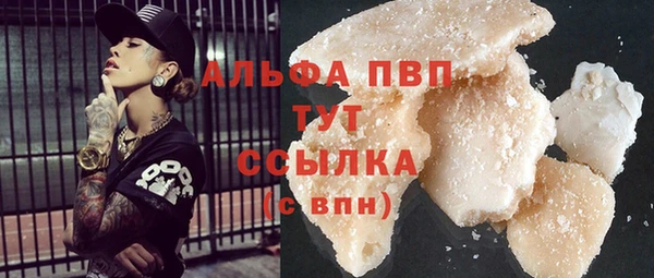 эйфоретик Инта